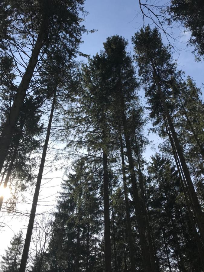 Wohnung Mit Panoramablick Gerolstein Eksteriør billede