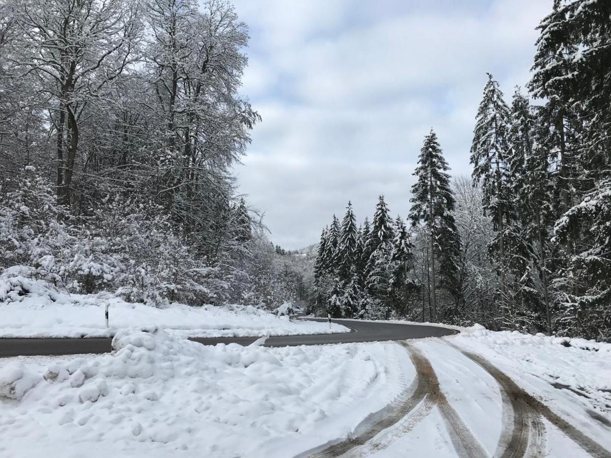 Wohnung Mit Panoramablick Gerolstein Eksteriør billede